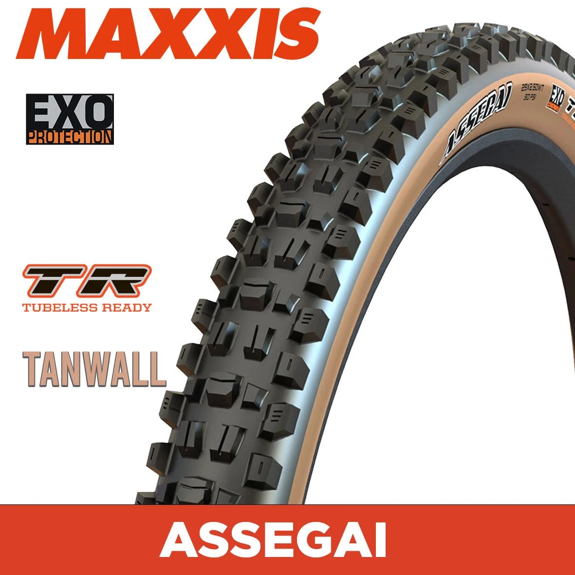 Maxxis Assegai MTB Tyre | Tan Wall